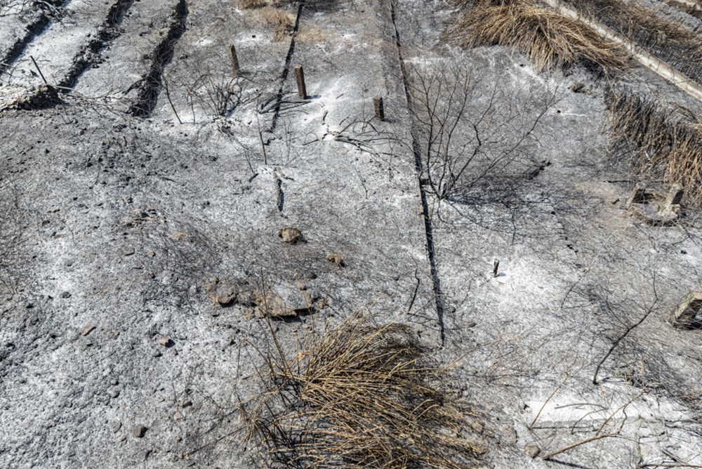 Akdeniz alev aldı: Yunanistan ve İtalya’da orman yangınları sürüyor - 19