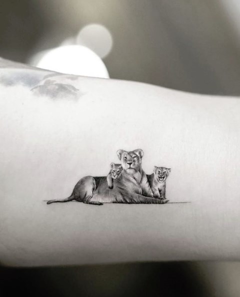 caner erkin kizini koluna kazitti