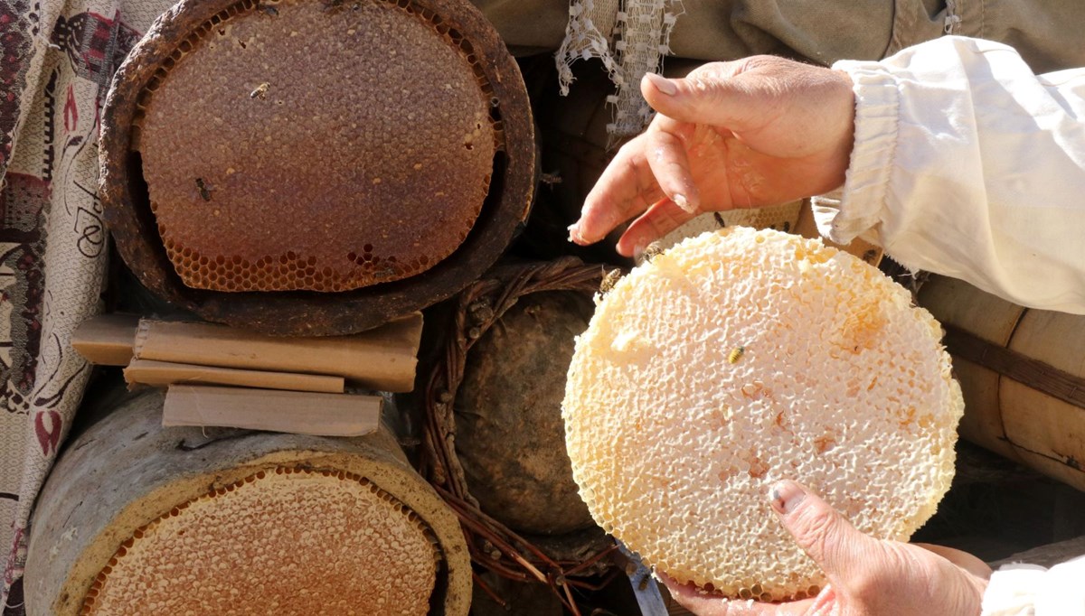 51 yaşında Ata toprağında 2,5 ton üretiyor: Ailesiyle yalnız yaşadığı köyde yapıyor