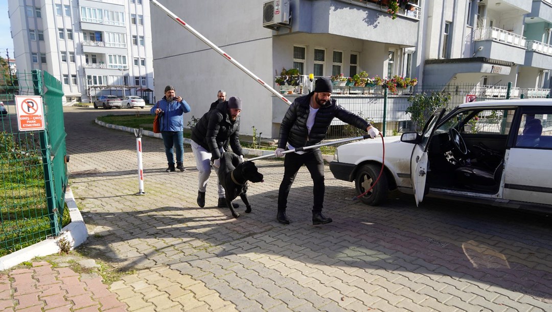 Edirne'de sahipsiz köpek kadına saldırdı