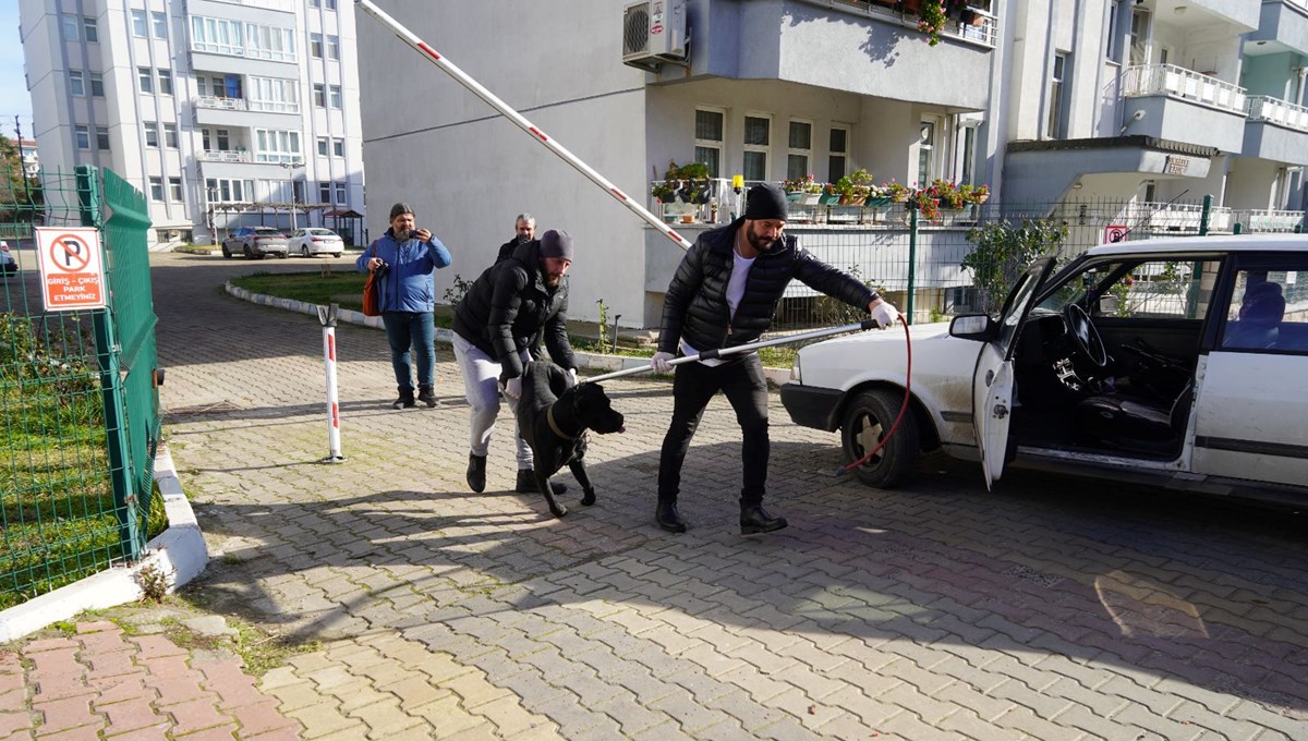 Edirne'de sahipsiz köpek kadına saldırdı Edirne'de sahipsiz köpek kadına saldırdı