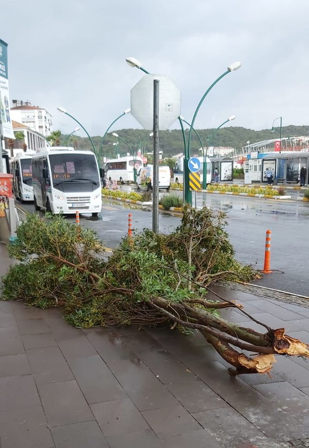 Ayvalık'ta fırtına: 20 tekne battı - 7