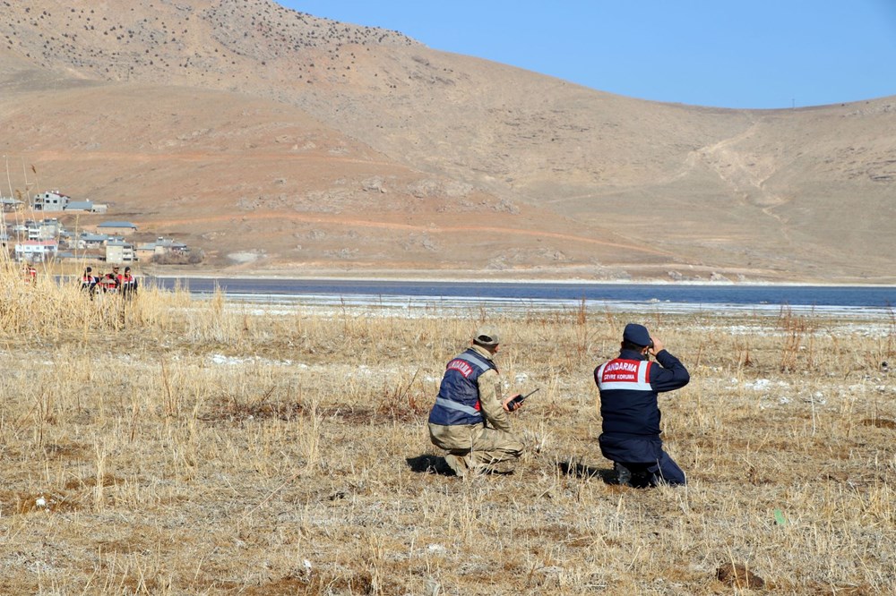 Jandarmanın kuğu nöbeti: Nesilleri tehlike altında - 6