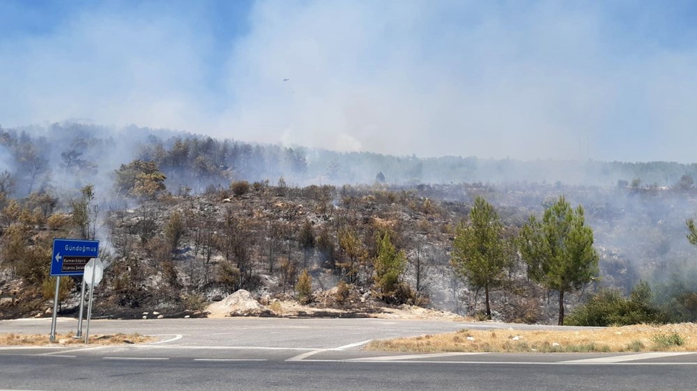 Antalya'da orman yangını: Karayolu ulaşıma kapatıldı - 11