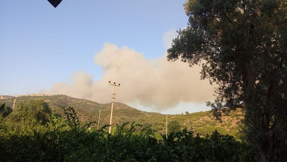 İzmir'in Menderes ilçesindeki yangına bir gözaltı - 6