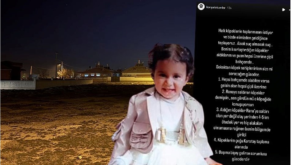Tepki geçen iddia: Rana'yı hayattan koparan köpekler kaçırıldı mı?