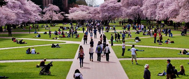 University of Washington.jpg