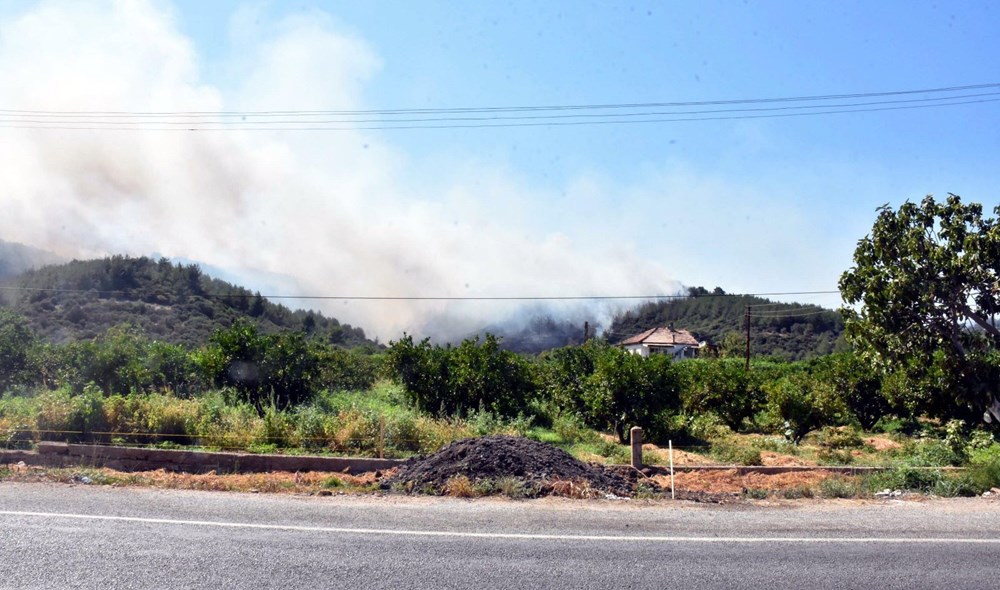 İzmir'in Menderes ilçesindeki yangına bir gözaltı - 16