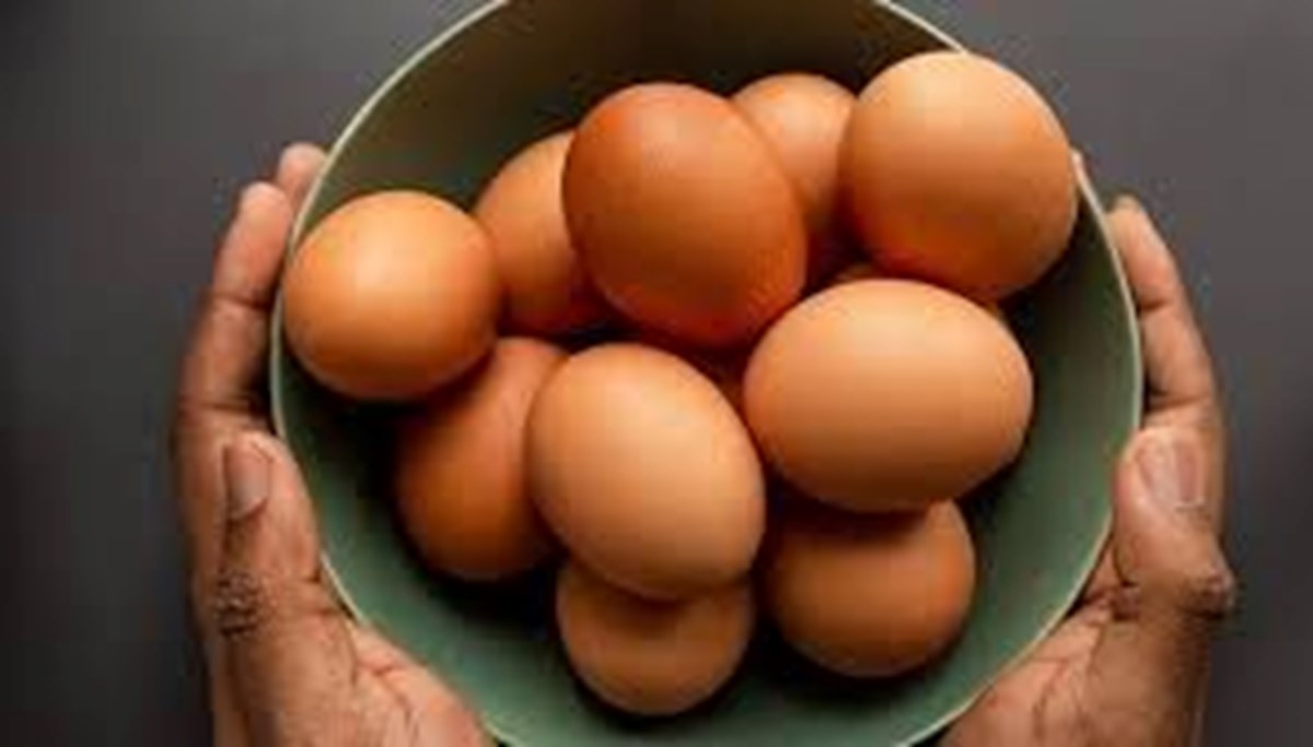 Yumurta ihracatına önlem