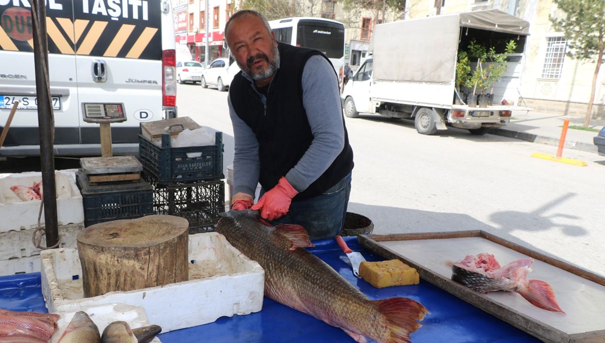 Dev balık tezgahta: Kilosu 250 TL’den satışa sunuldu