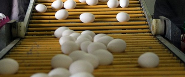 yumurta-201214