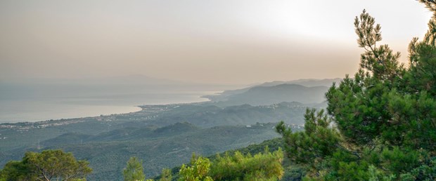 Kazdaglari-iStock-1034504918.jpg