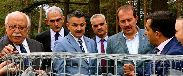 pakdemirli.jpg
