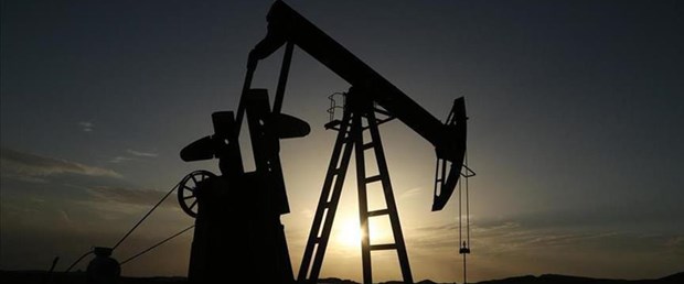 petrol 1.jpg