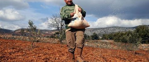 Çiftçilere 10 milyar lira devlet desteği