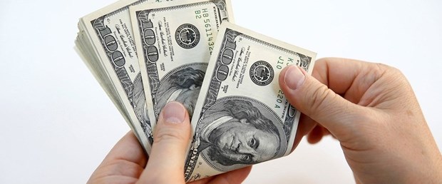 dolar119.jpg
