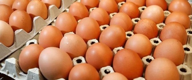 yumurta ile ilgili görsel sonucu