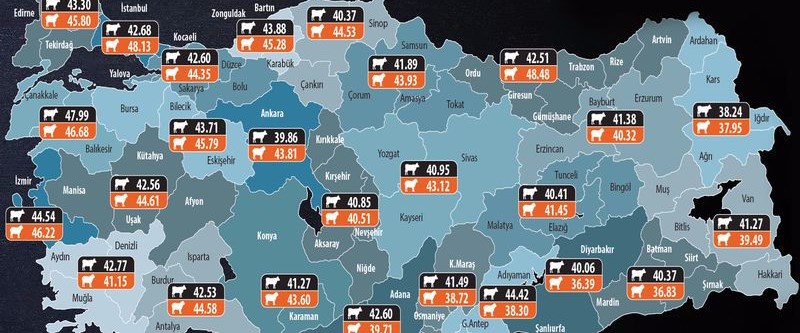 Et ve Süt Kurumu market zincirlerinde kıymayı...