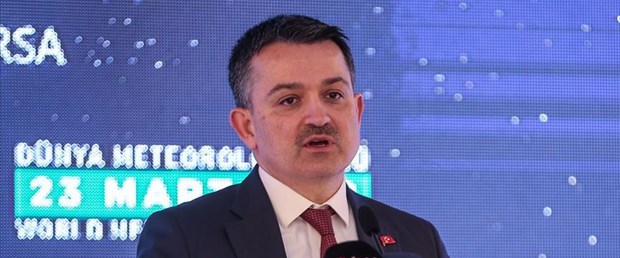 akan pakdemirli.jpg