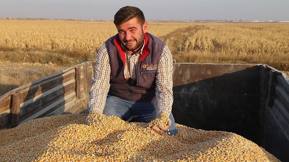 Bu yıl ülke geneli 5,9 milyon ton tahmin edilen rekoltenin 1 milyonunun Konya'dan karşılanması öngörülüyor.