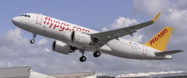 pegasus1.jpg