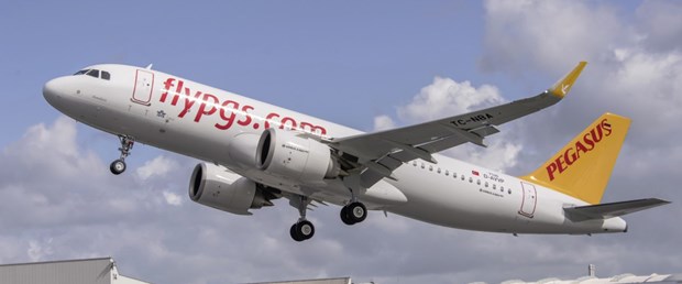 pegasus1.jpg