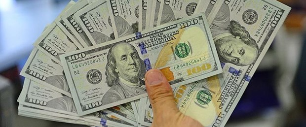 dolar73.jpg