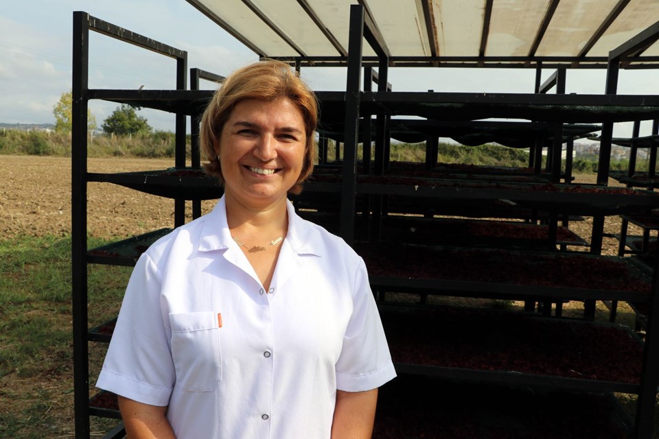 "ÜZÜMÜN ESAS YARARLI YERİ ÇEKİRDEKTİR"