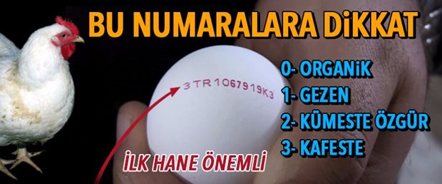 yazılı yumurta numara.jpg