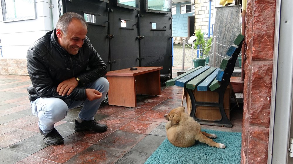 Yavru köpeği faraşa koyup dereye atan işçi konuştu Pişmanım NTV