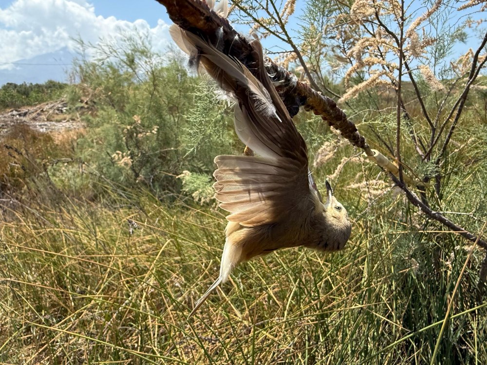 Yapıştırıcıyla vefat tuzağı: ''Bu zalimliktir'' 73 emtj 62kzkSGcd3S1zubpw