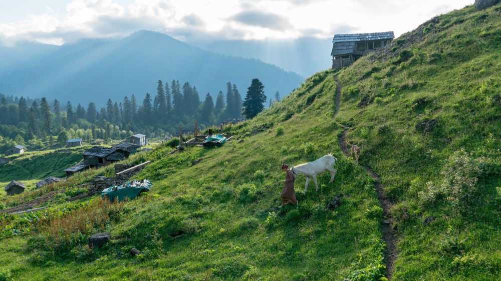 Doğu Karadeniz'in saklı cennetleri (Yayla tatili önerileri) - 5