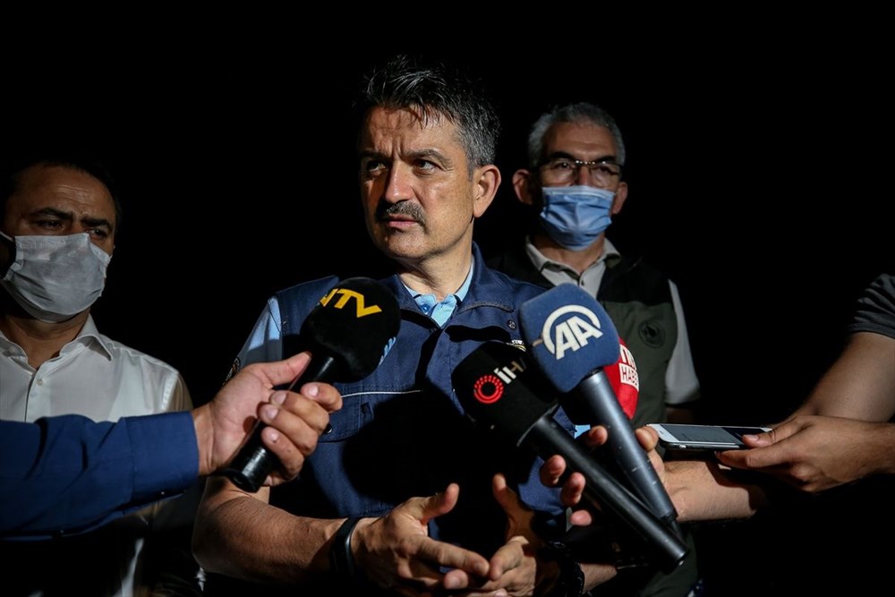 Gelibolu Yarımadası'nda orman yangını - 8