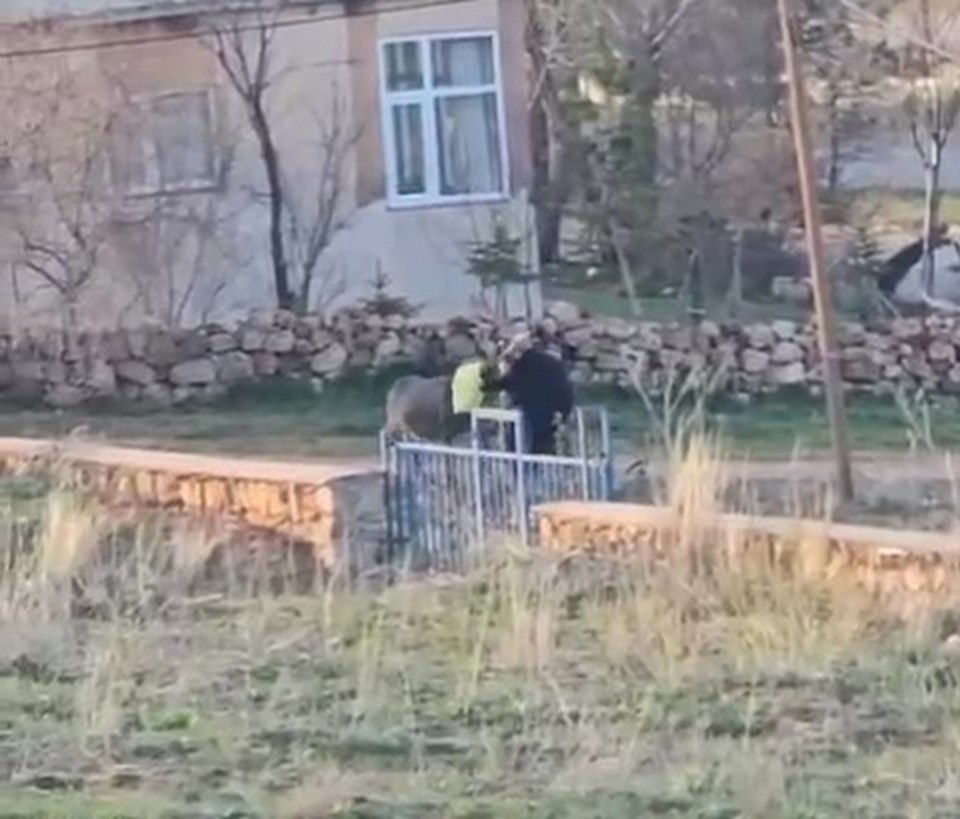Eşeğe acımasız eziyet: Başına çuval geçirip dövdü - 1
