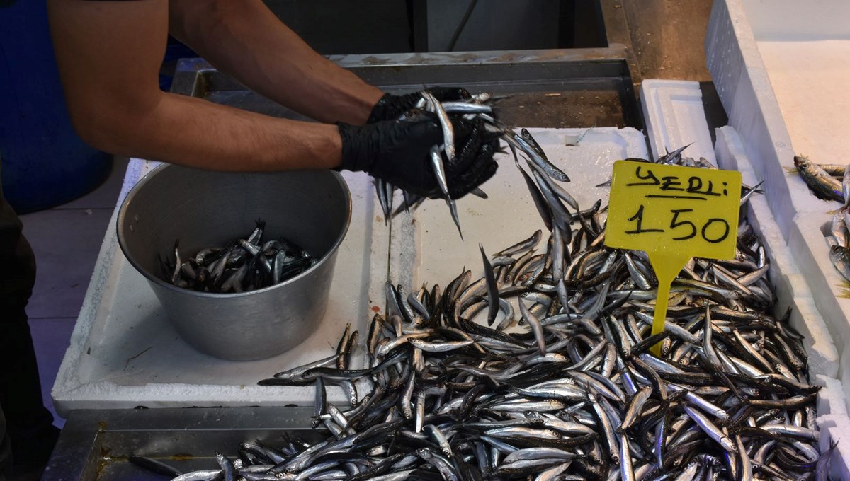 Kilosu 150 liradan satışta:  Taze taze tezgahta