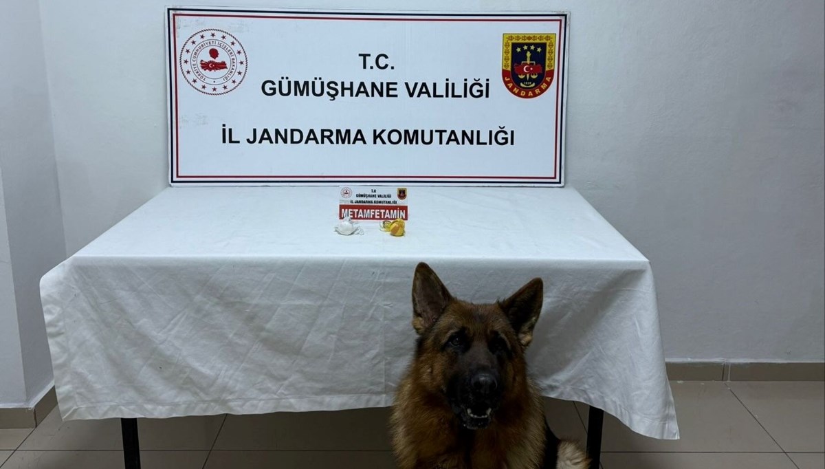 Gümüşhane'de uyuşturucu operasyonu: 2 kişi tutuklandı Gümüşhane'de uyuşturucu operasyonu: 2 kişi tutuklandı