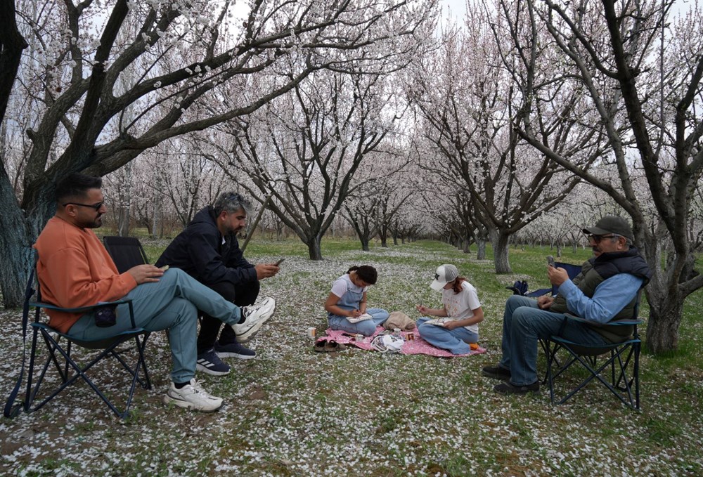 Kayısı Çiçeği Rüyaları: Kartpostaldan Fırlamış Bahar Manzaraları 74