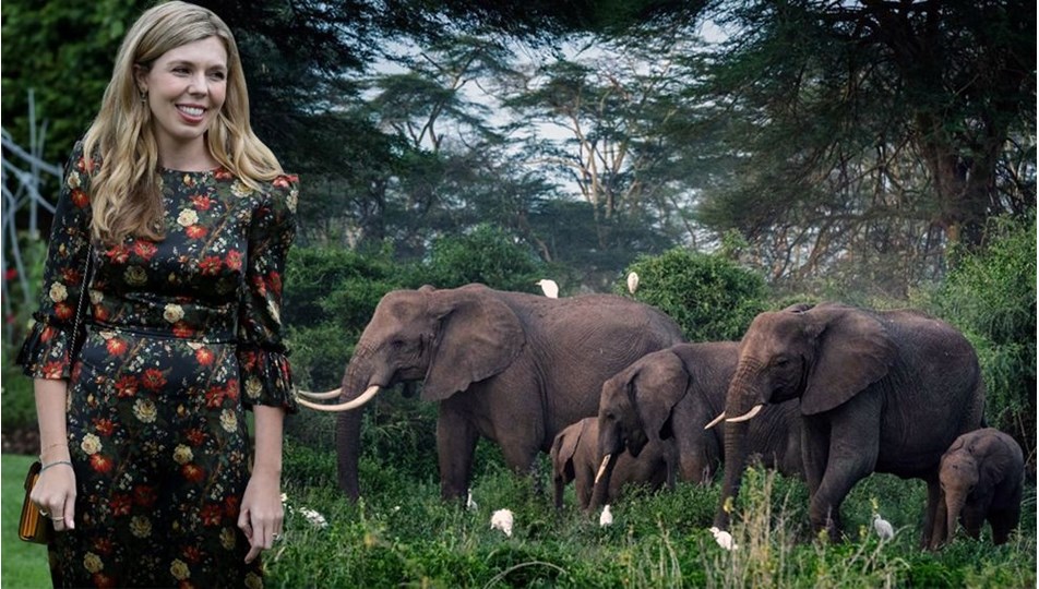 Carrie Johnson filleri kurtaracak