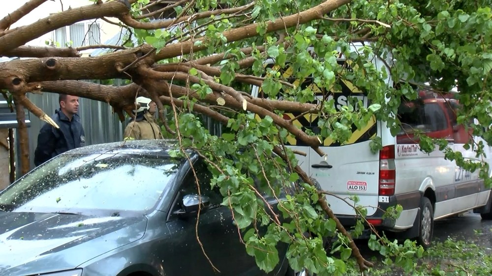 Yurdu fırtına vurdu: Antalya’da rüzgarın hızı 118 kilometreye ulaştı, İstanbul ve Ankara’da ağaçlar devrildi - 9