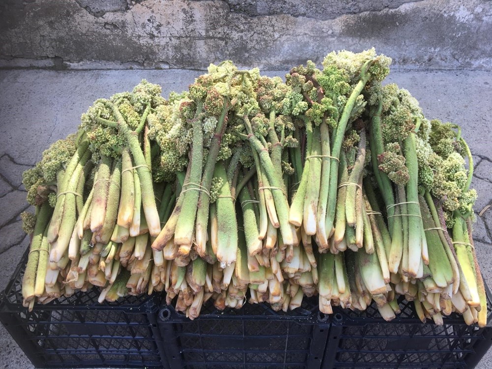 Tezgahta yerini aldı, ünü Amerika'ya kadar yayıldı: A, B1, B2, E, ve K vitamini deposu 72