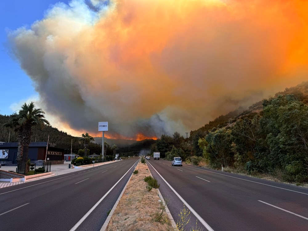 Türkiye alevlerle mücadele ediyor: 3 ilde orman yangını, ekiplerin müdahalesi sürüyor - 9