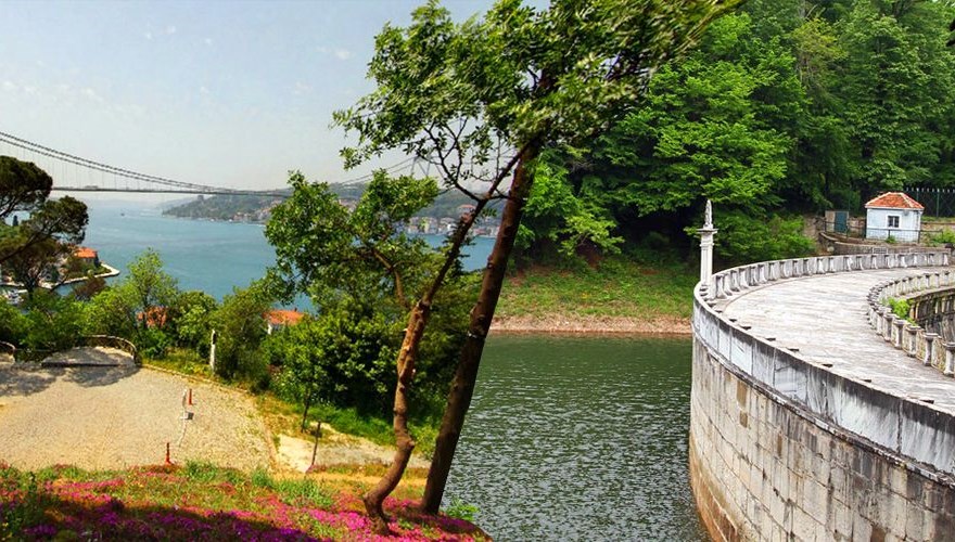 Yeşille baş başa: İstanbul'un Tabiat Parkları