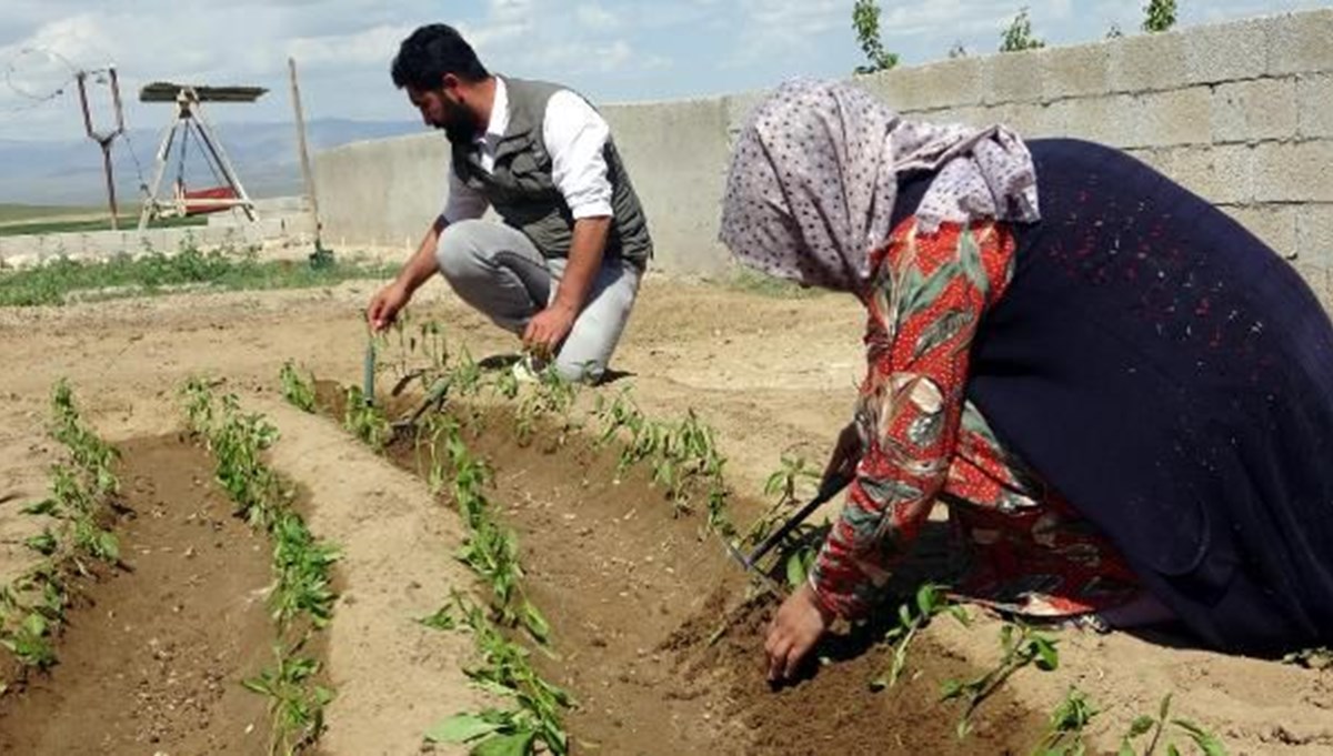 2 üniversite bitirip, 81 kenti gezdiler: Şimdi çiftçiler