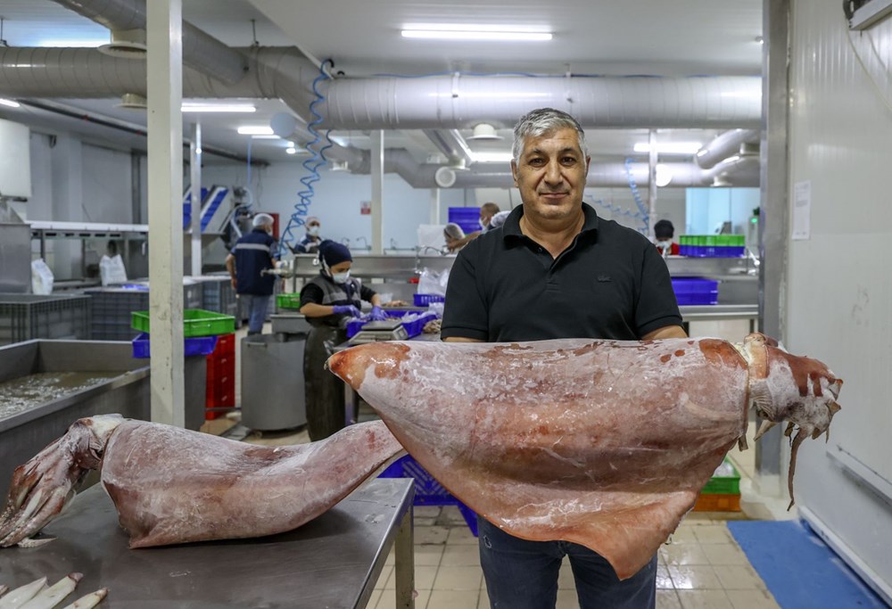 İzmir'de 16 kiloluk dev kalamar yakalandı - 7