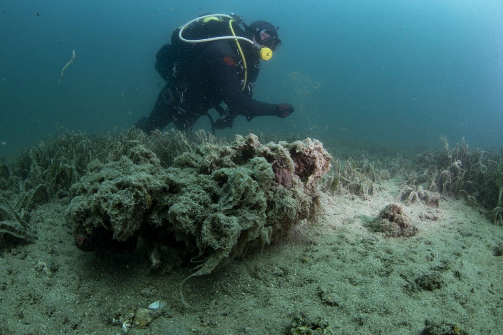 Müsilaj, koruma altındaki mercanları tehdit ediyor - 3