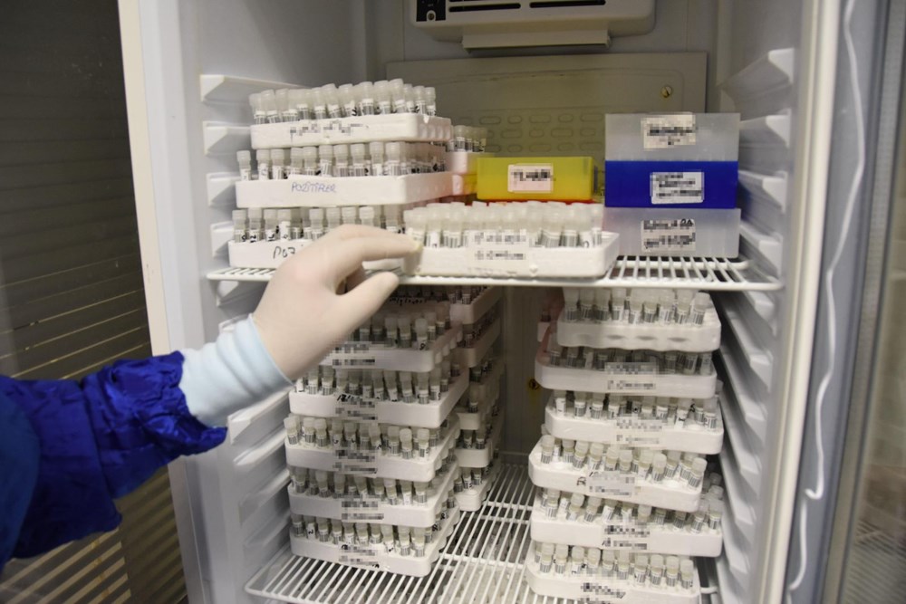 Mutated corona virus cases are detected in 40 minutes - 18