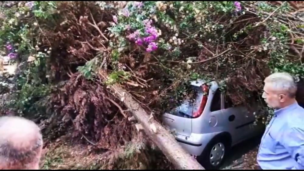 Mersin'de fırtına: Tekneler battı, çatılar uçtu - 2