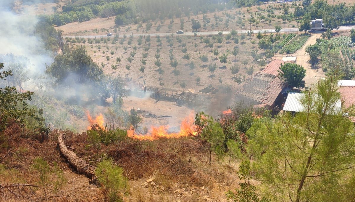 Balıkesir'de orman yangını