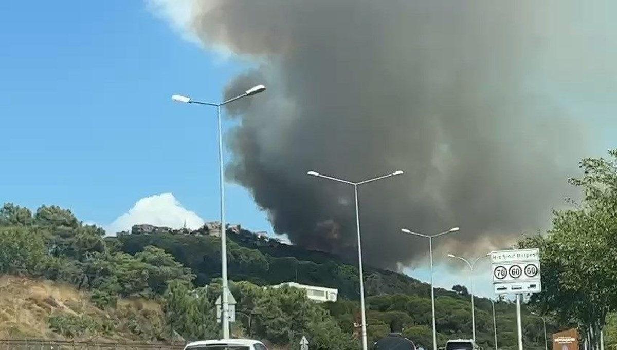 İstanbul Maltepe'de orman yangını