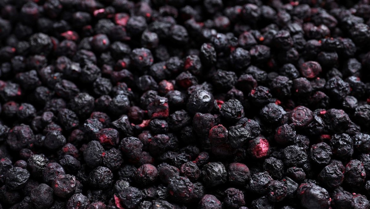 Antalya'nın ''mavi altını'' dünyaya açıldı: Sağlığa pek çok faydası var